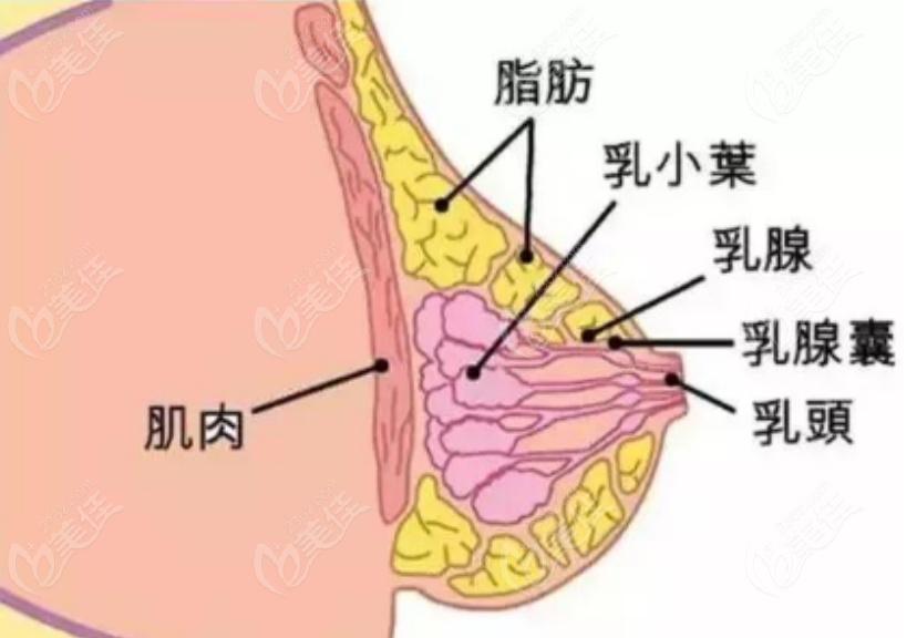 重庆汪灏隆胸手术